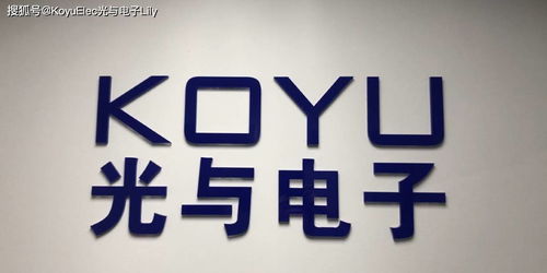 數字文化新體驗 維安、光與電子及數字創意服務的融合之路